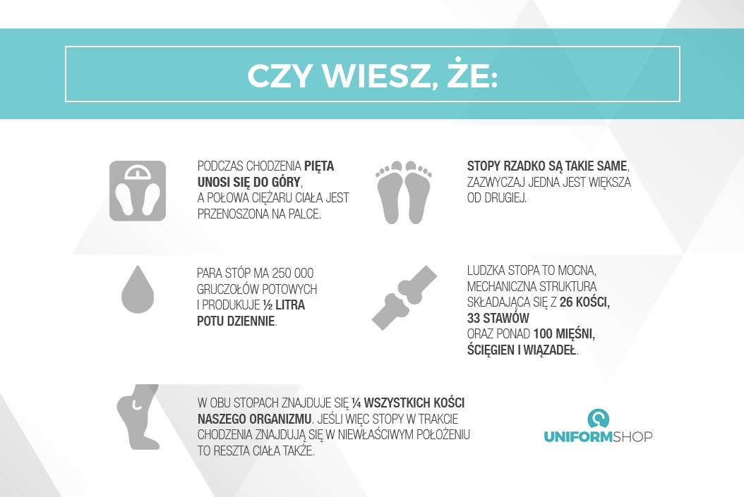 Czy wiesz, że... Czy wiesz, że...